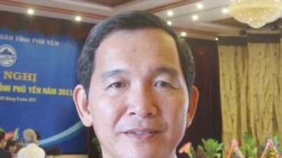 Advertencia disciplinaria para el exvicepresidente de Phu Yen Tran Quang Nhat