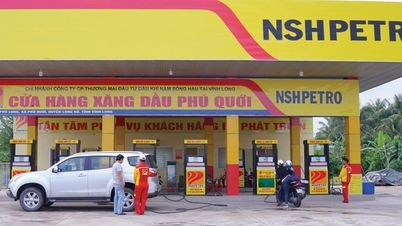 'Ông lớn' xăng dầu xin trả nợ thuế dần, Bộ Tài chính nói gì?