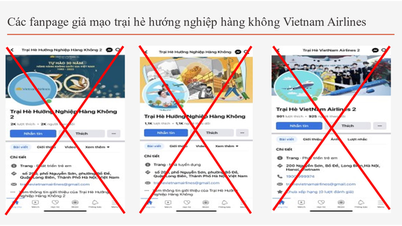Attention aux arnaques lors de votre participation au camp d'été de VietNam Airlines
