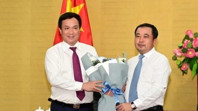 Ông Triệu Thế Hùng thôi giữ chức Chủ tịch UBND tỉnh Hải Dương