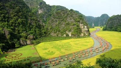 Vạn người tới Ninh Bình ngắm bức tranh "mục đồng" khổng lồ