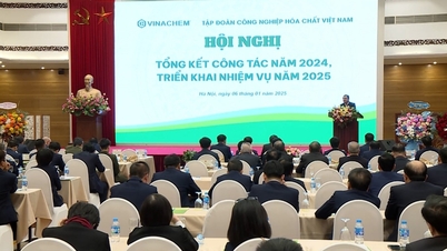 Năm 2024, doanh thu Vinachem ước đạt 57.909 tỷ đồng