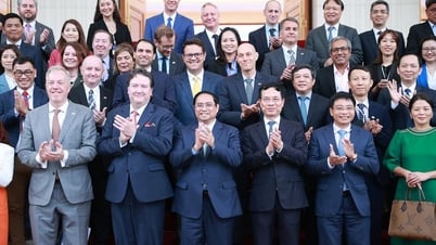 Hợp tác với doanh nghiệp Mỹ: "Điệu Tango phải có hai người"