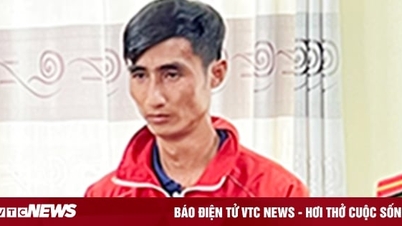 Bắt nhân viên chiếm đoạt hơn 600 triệu đồng của công ty dược ở An Giang