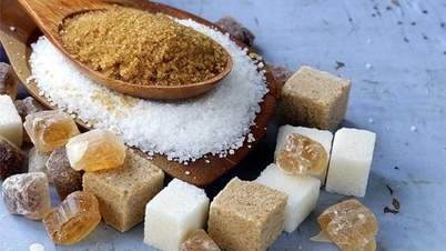 Rà soát nhà xuất khẩu mới trong vụ việc điều tra chống lẩn tránh biện pháp phòng vệ thương mại đường mía