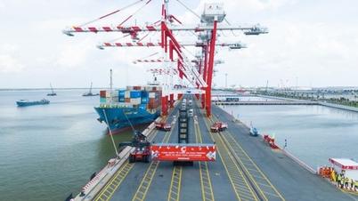 Cảng Quốc tế Long An chính thức hợp long 7 cầu cảng và khai thác hàng container