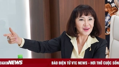 Wife of tycoon Dang Van Thanh suddenly resigns as Chairman of TTC Land