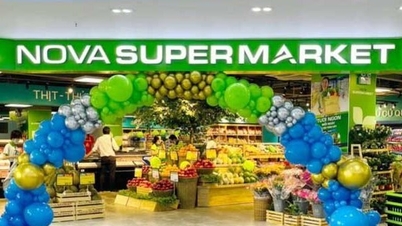 NovaGroup member capitalization "evaporates" trillions on the first day of listing