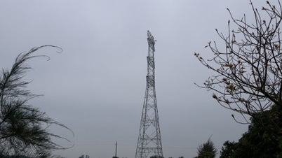 Quyết liệt để hoàn thành bàn giao mặt bằng hành lang tuyến đường dây 500kV mạch 3 trước 15/4/2024
