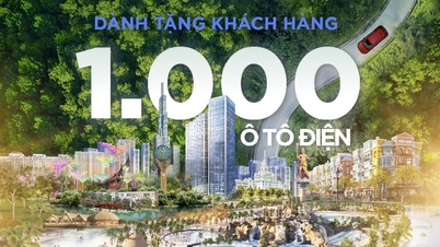 Vinhomes tặng 1000 ô tô điện Vinfast cho khách hàng