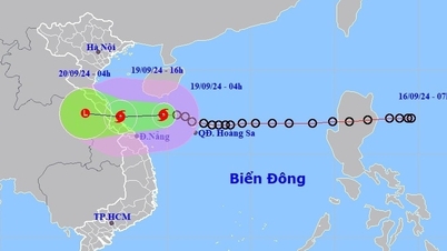 Dringende Sturmmeldung Nr. 4: Windböe Stufe 10, mehr als 200 km von Da Nang entfernt