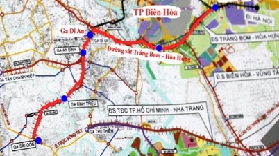 Las líneas ferroviarias An Binh-Thu Thiem y Thu Thiem no se han incluido en la planificación.