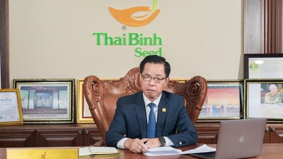 The special love of 'captain' ThaiBinh Seed for Vietnamese rice