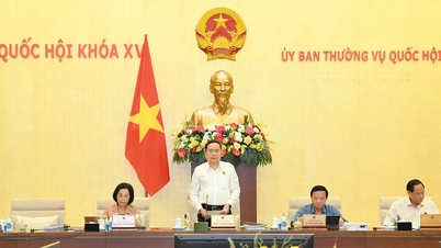 Lắng nghe ý kiến để hoàn thiện các dự thảo luật, đáp ứng yêu cầu thực tiễn.
