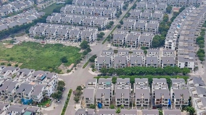 Hundreds of abandoned villas in urban area worth over 7,000 billion VND in Hanoi