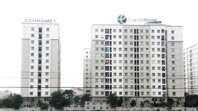 Dong Anh, Gia Lam, and Me Linh districts are about to have more than 12,000 social housing units.