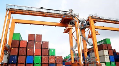 Xuất siêu nông lâm thủy sản 10 tháng tăng trên 62%, ước đạt 5,91 tỷ USD