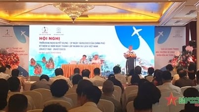 Find solutions to quickly recover and accelerate tourism development