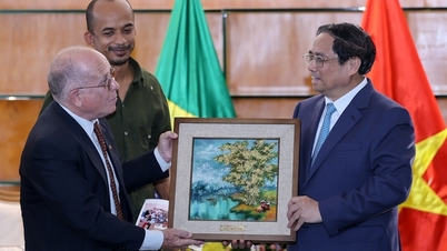 Hội Hữu nghị Brazil-Việt Nam cần có thêm nhiều hoạt động mạnh mẽ thúc đẩy quan hệ hợp tác giữa hai nước