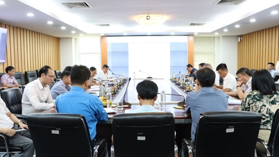 Hoàn trả cho Nhà nước hơn 66,5 tỷ đồng chi phí đánh giá tiềm năng, thăm dò khoáng sản