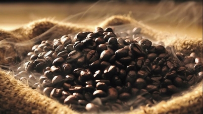 Why has coffee prices continued to increase? "Decoding" unusual phenomena in Vietnam's harvest?