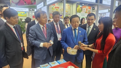 Vietnam - Country of Honor at the 6th China International Import Expo