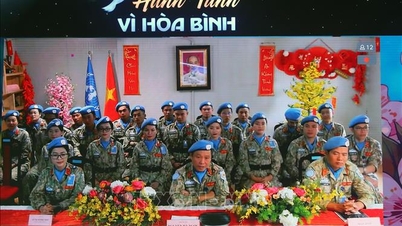 'ដំណើរដើម្បីសន្តិភាព' នៃ Green Berets