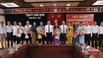Binh Dinh Provincial Party Committee rotates and transfers 6 leaders