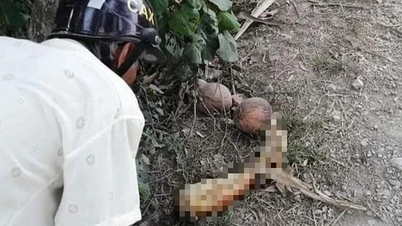 Human leg found floating in river in Vinh Long