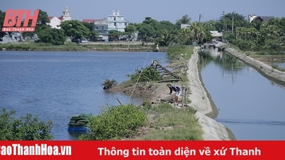 Quang Xuong អនុវត្តដំណោះស្រាយជាច្រើនដើម្បីប្រមូលផ្តុំ និងប្រមូលផ្តុំដី។
