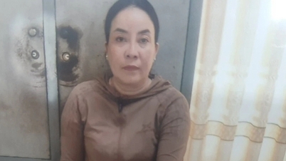 Bắt tạm giam người phụ nữ làm giả sổ đỏ mang đi cầm cố