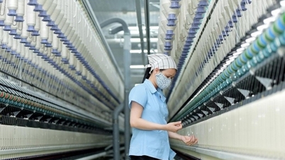 Thị trường dệt may năm 2025 có gì mới?