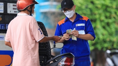 Thế giới chững; trong nước chiều nay được dự báo giảm