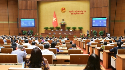 Tập trung triển khai Luật Đất đai (sửa đổi) và các luật có liên quan sau khi được Quốc hội thông qua