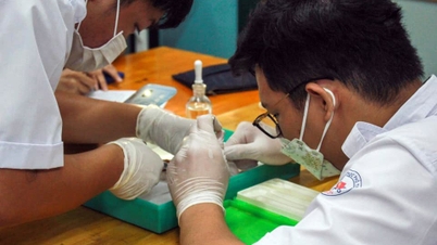Học sinh hào hứng tham gia ngày hội khoa học