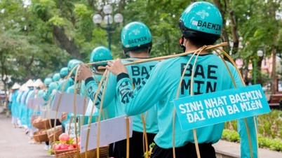 Baemin stops operations in Vietnam