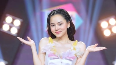 តារាចម្រៀង Ngo Lan Huong និយាយអំពីភាពចម្រូងចម្រាសនៃសំលៀកបំពាក់ និងការសង្ស័យពីការលួចចម្លង