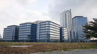 Da Nang: Vorschlag zur baldigen Fertigstellung und Inbetriebnahme des Softwareparks Nr. 2