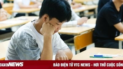 Đề thi và đáp án môn Ngữ văn thi vào lớp 10 THPT chuyên Lam Sơn - Thanh Hoá