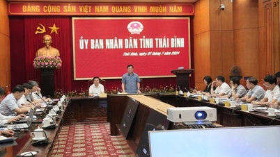 Cao tốc Ninh Bình – Hải Phòng: Phấn đấu khởi công đoạn qua tỉnh Thái Bình trong tháng 11