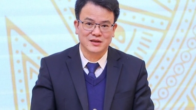 Cam kết của nhà đầu tư nước ngoài vào Việt Nam là thực chất