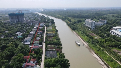 Une série de lots de terres le long de la rivière Bac Hung Hai ont été accordés sans autorisation.