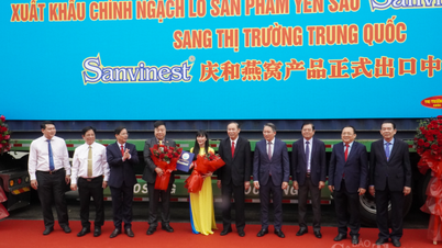Khánh Hòa: Xuất khẩu chính ngạch lô tổ yến đầu tiên sang Trung Quốc