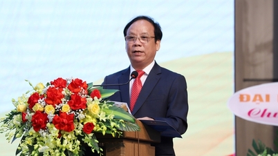 សាស្ត្រាចារ្យរង បណ្ឌិត ង្វៀន ង៉ុកវូ បន្តកាន់តំណែងជានាយកសាកលវិទ្យាល័យ ដាណាង
