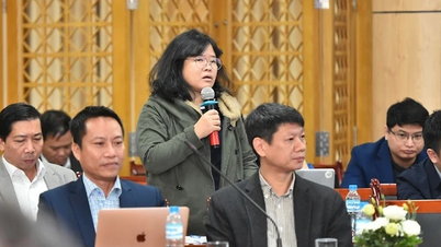 Nhiều quan niệm cần được 'giải ảo'