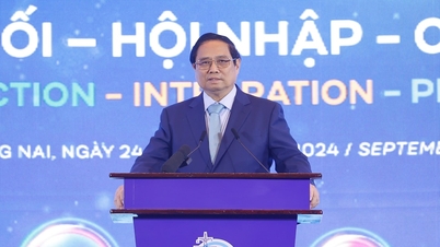 ផែនការខេត្តជួយ Dong Nai 'តភ្ជាប់ សមាហរណកម្ម និងហោះចេញ'