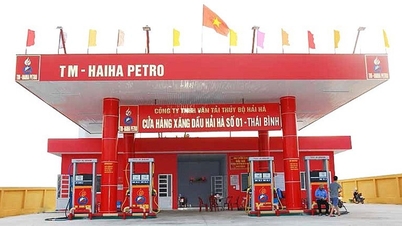 Bộ Công Thương thu hồi giấy phép đầu mối xăng dầu của Hải Hà Petro
