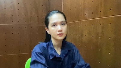 Clip: Model Ngoc Trinh hopes for leniency