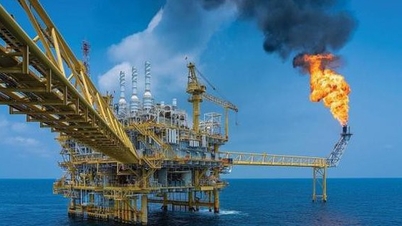 PTSC đặt mục tiêu doanh thu hợp nhất 13,2 nghìn tỉ đồng
