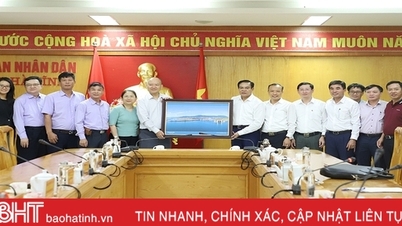 Thực hiện tốt các hoạt động hợp tác giữa Hà Tĩnh với tổ chức, doanh nghiệp Đài Loan